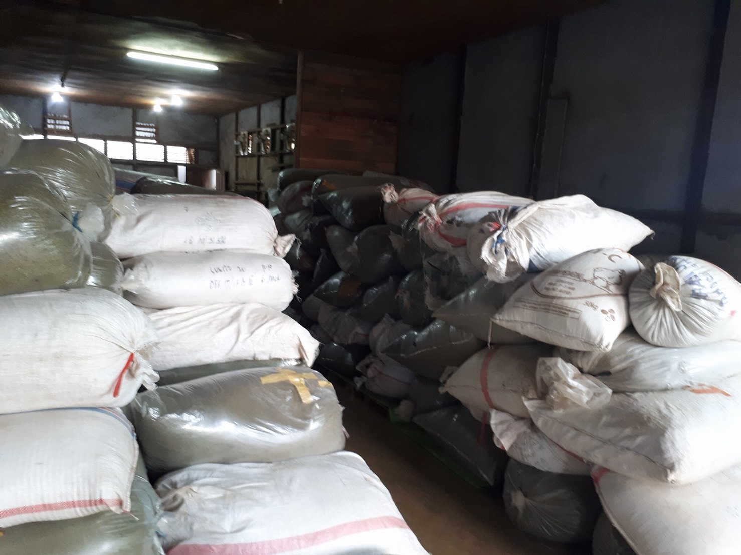 Sumba Kratom warehouse filled with bulk kratom sacks